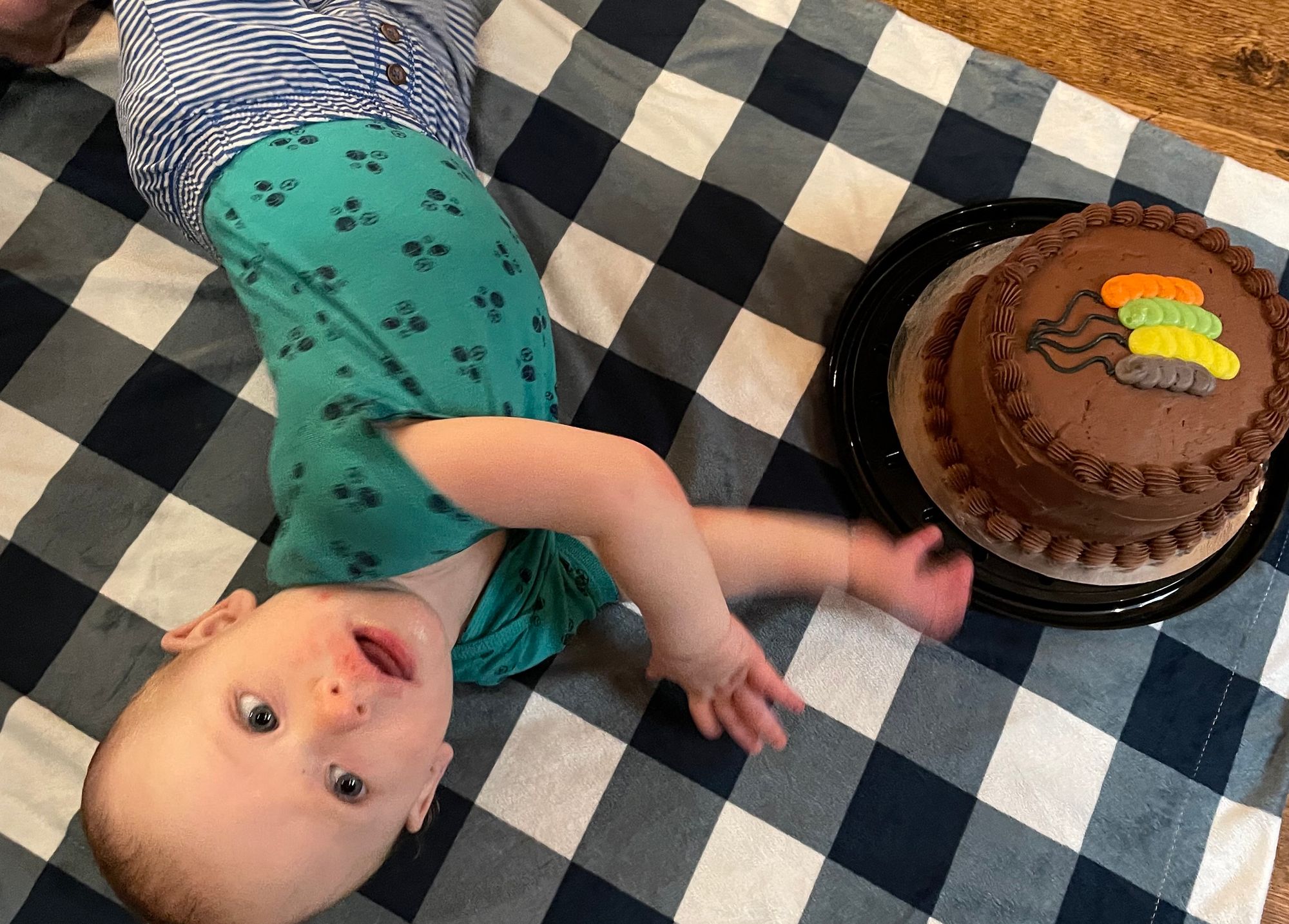 Freddie is mid-rollover, next to a chocolate cake.